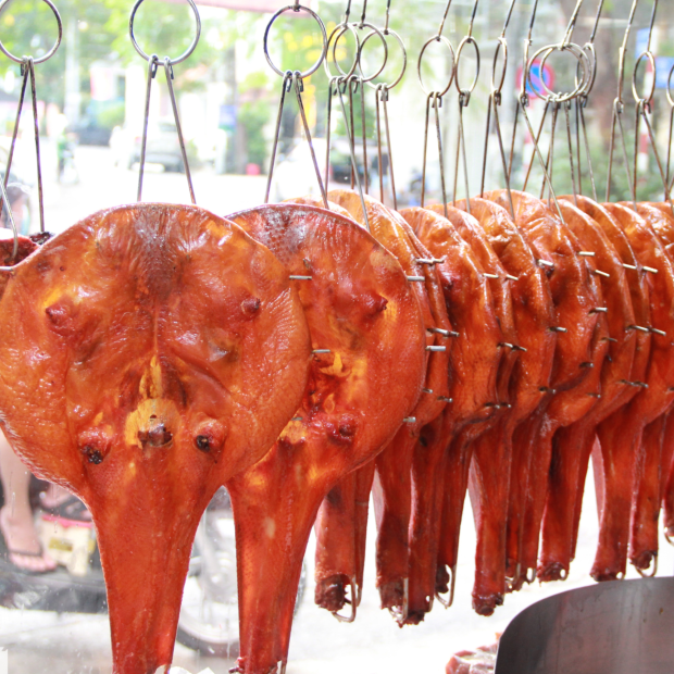 Món Vịt Nướng Tì Bà
